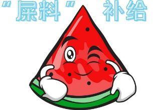 呱呱吃瓜现场视频大全免费观看,全网独家！呱呱吃瓜现场视频大全免费观看