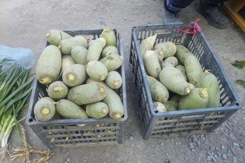 潢川吃瓜事情视频,一场网络热议背后的真相揭秘