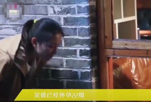 怎样给别人发吃瓜视频呢,如何给朋友发送趣味吃瓜视频