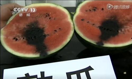 美国人安心吃瓜视频大全,揭秘日常生活趣味瞬间